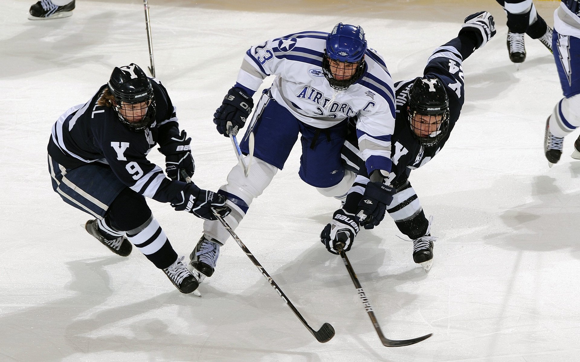 冬季运动项目发展现状与趋势，冬季运动项目发展现状与趋势研究